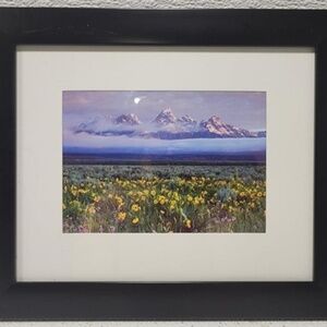 Art Print Field of Flowers and Mountains-11 x 9.75 inches Home/Office Mat/Framed